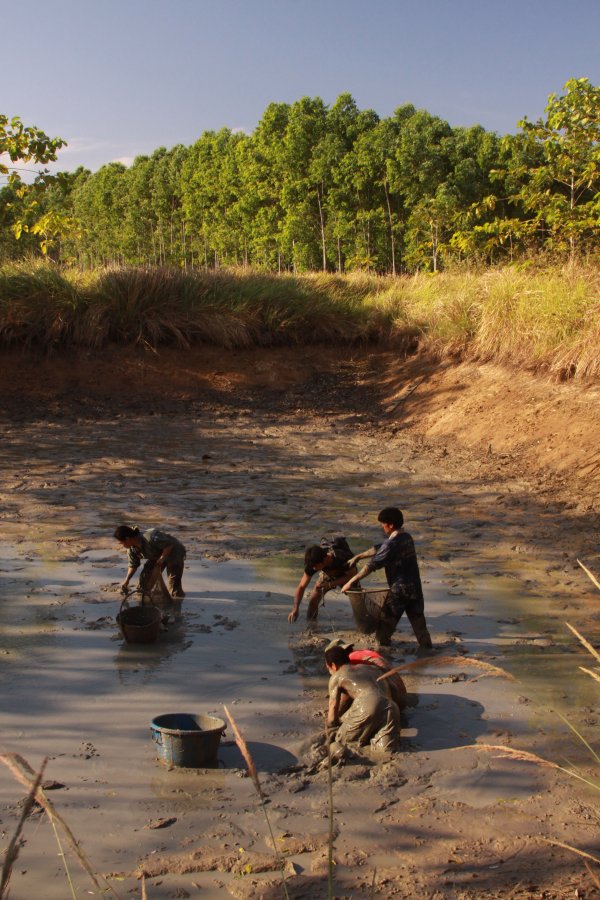 More fishing in the drained pond