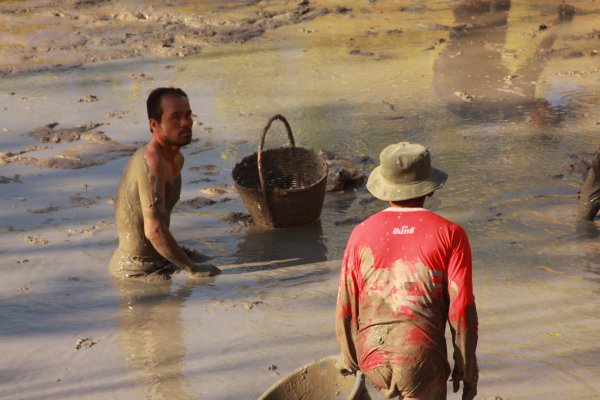 Fishing in the mud!