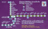BTSmap.jpg (154556 bytes)