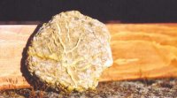 Gold Prospecting, Gold Mining, Gold Panning, Gold Nuggets, Metal Detecting, Gold Dredging