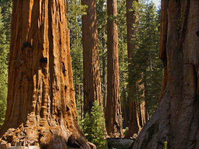 2004 fleetwood sequoiaspecifications