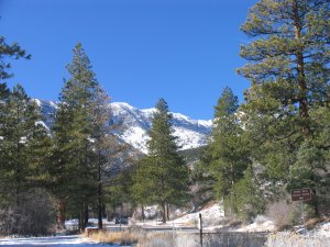 Mt. Charleston, Mount Charleston, Charleston Nevada