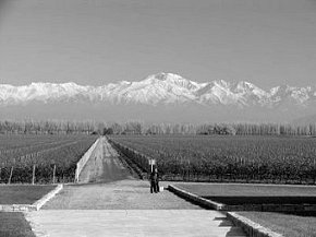 Mendoza, Andes Mendoza, Mendoza Wineries>
	<img border=