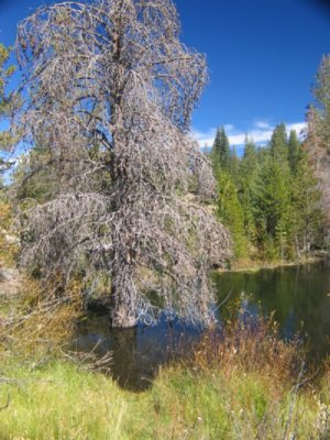 Lassen National Park, Lassen Camping, Lassen Chalet, Lassen Skiing