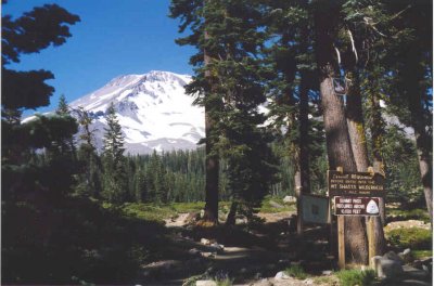Mt. Shasta California, Shasta Mountain, Lake Shasta, Mt Shasta

