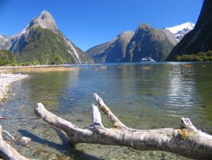 New Zealand, New Zealand Travel Guide, South Island