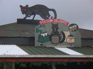 Pukekura, Pukekura New Zealand, Pukekura Possum
