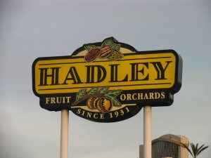 Date Palms, Palms Springs, Hadleys, Shields Dates, Oasis Date Garden