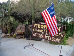 Visit Palm Springs, Palm Springs Attractions, Travel Palm Springs, What to do in Palm Springs
