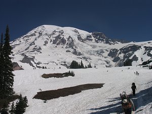 Climb Rainer, Mt. Rainier, Rainier Park, Disappointment Cleaver, Muir Camp, Climb Rainier