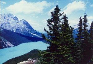 Vancouver Trip, Vancouver Travel Guide, Vancouver Trip Outline, Western Canada Travel
