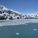 Alaska-Inside-Passage-Juneau-Sitka-Glacier-114