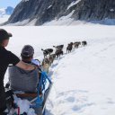 Alaska-Inside-Passage-Juneau-Sitka-Glacier-31