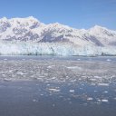 Alaska-Inside-Passage-Juneau-Sitka-Glacier-69