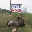 Chicken-Gold-Camp