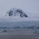 antarctica-oceanwide-expeditions-142