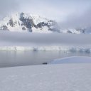 antarctica-oceanwide-expeditions-263