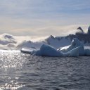 antarctica-oceanwide-expeditions-286