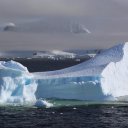 antarctica-oceanwide-expeditions-287