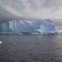 antarctica-oceanwide-expeditions-298