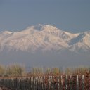 Lujan-de-Cuyo-Mendoza-Wineries