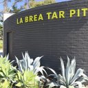 la-brea-tarpits