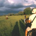 In search of big game in the Okavango on horseback