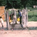 Children carry water from the local well in their village