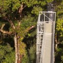 Looking down at the Canopy Walk from the uppermost Lookout