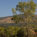 Bulgarian-countryside