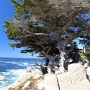 monterey-carmel-10