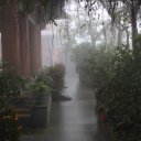 Foggy-walkway-at-the-monastary-at-Ngong-Ping
