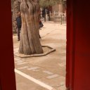 Knarled old tree seen through doorway, Forbidden City Beijing