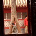Peering through walkway - Beijing Forbidden City