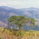 Costa-Rica-Deforestation