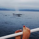 Whale Watching in Puerto Lopez