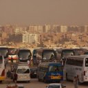 Buses lined up at the Pyramids