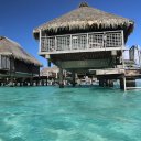 hilton-moorea-3