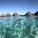 hilton-moorea-8