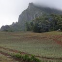 moorea-french-polynesia-tahiti-15