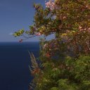 View-of-ocean-from-Lovers-Lookout