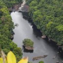 kaieteur-falls-rainforest-guyana-20