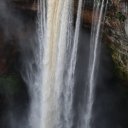 kaieteur-falls-rainforest-guyana-26