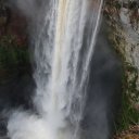 kaieteur-falls-rainforest-guyana-29