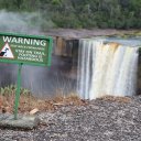 kaieteur-falls-rainforest-guyana-30