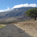 Road past Hana