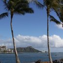 Diamond Head framed by two palm trees