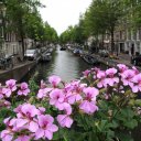 amsterdam-the-netherlands-1