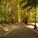 The-leafy-suburbs-of-northern-Tehran-are-full-of-enclaves-where-the-government-officials-and-the-rich-have-their-elegant-homes