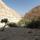 jordan-wadi-trek-2
